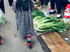-南门绿玉农贸市场