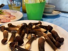 -千岛蚝高压锅生蚝·人参火锅(白云万达店)