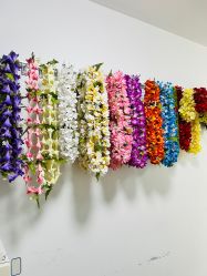 -呼拉汇舞蹈生活馆 Hawaii Hula&Tahiti Dance Studio