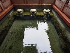 -趵突泉景区