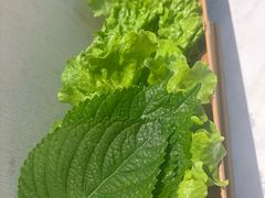-六七八韩式烤肉·韩国料理(上杭路店)