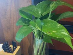 -半秋山西餐厅(宜昌大洋店)