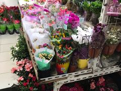 -万商花鸟市场