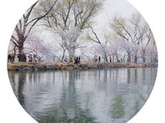 -颐和园