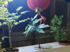 -望京一号·重庆江湖菜(工体店)