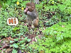 -十里画廊