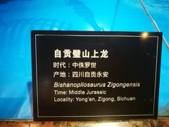 -自贡恐龙博物馆
