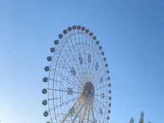 -特克斯八卦城
