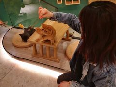 -飞行喵MR PILOT|猫舍·猫咖(静安大融城店)