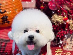 -宠Ta宠物生活馆(济宁任城区)