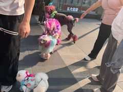 -福田卓悦INTOWN购物中心