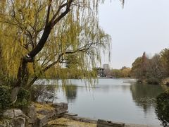 -济南大明湖景区