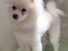 -乐宠宠物店(世纪金源店)