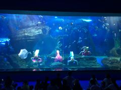 -多彩贵州城极地海洋世界