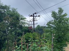 -四川农业大学(雅安校区)