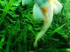 -上海海洋水族馆