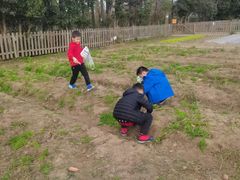 -前小桔亲子创意农场·草莓采摘·露营烧烤