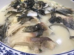 -全乐鱼馆·淳牌有机鱼直营店