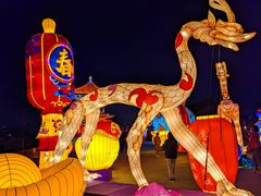 -西安城墙·碑林历史文化景区