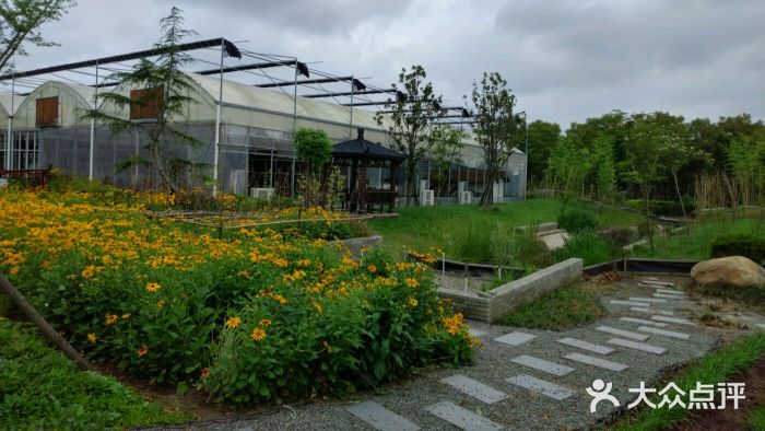 崇明人家熊大叔开心农场图片