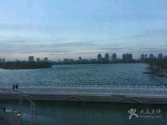 -鱼翅楼·津派砂锅鱼翅(水上公园店)