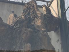 -无锡动物园·太湖欢乐园
