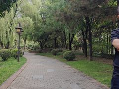 -木塔寺遗址生态公园