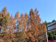 -汇雅温泉