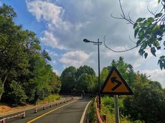 -宝界山林公园