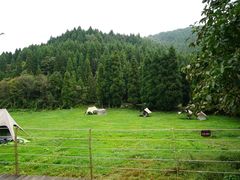 -武陵山森林公园
