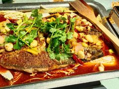 -重庆火锅水库鱼庄(南油店)