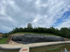 -三水森林公园