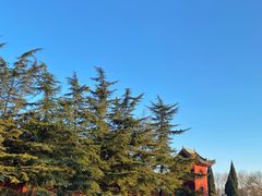 -洛阳白马寺