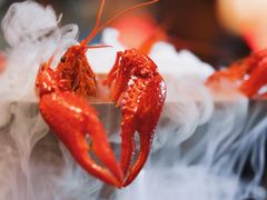 清蒸蘸水虾-霸王虾·麻辣小龙虾(清水河公园店)