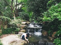 -中国茶叶博物馆(双峰馆区)