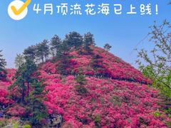 -木兰云雾山