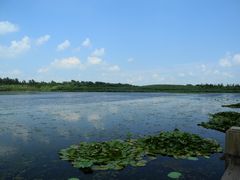 -溱湖国家湿地公园