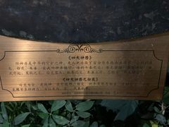 -花之城