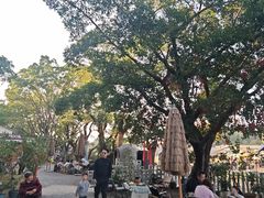 -长洲岛都市农业公园