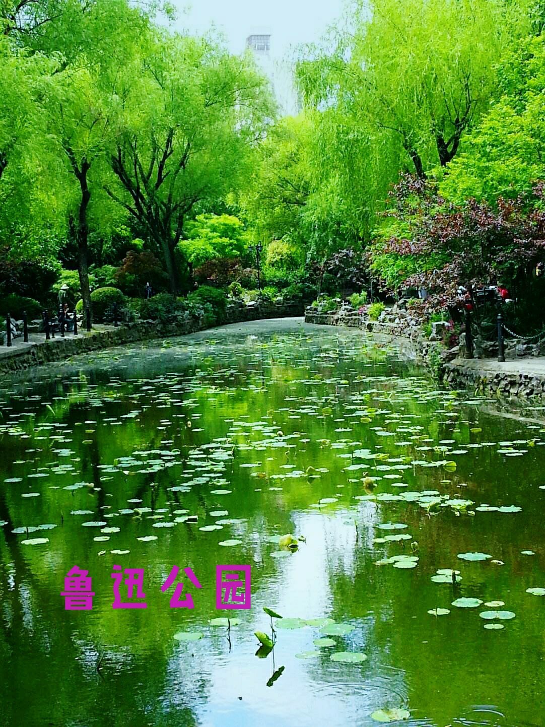 https://qcloud.dpfile.com/pc/AnFqVN7kHujcqWwKTfJZGG4389grVOr3M59Pu-YLbp33b1n7ZbpikPgtXMhMsjXNY0q73sB2DyQcgmKUxZFQtw.jpg