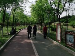 -滨河世纪广场公园