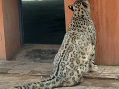 -青藏高原野生动物园