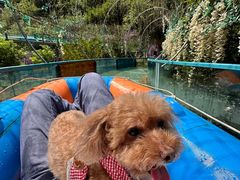 -十渡东湖港风景区