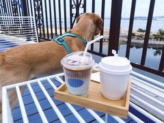 -莫内艺术岛海景咖啡