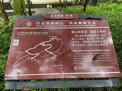 -九曜山