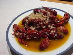 -杨氏青龙虾·羊蝎子(托乐嘉店)
