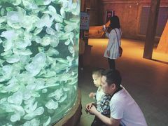 -华夏文旅海洋公园