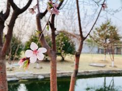 -三里河公园