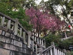 -乌山风景区