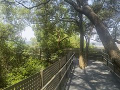 -福道